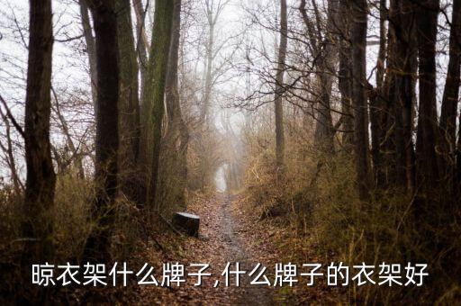 晾衣架什么牌子,什么牌子的衣架好