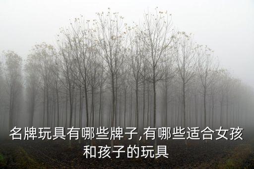 女童名牌玩具有哪些牌子,有哪些适合女孩和孩子的玩具?