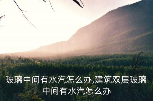 双层玻璃中间有水汽怎么办,建筑双层玻璃中间有水汽怎么办