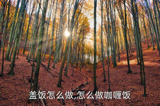 咖喱盖饭怎么做,怎么做咖喱饭?