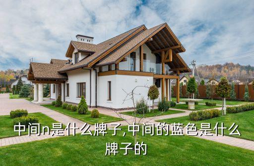 蓝色中间n是什么牌子,中间的蓝色是什么牌子的?