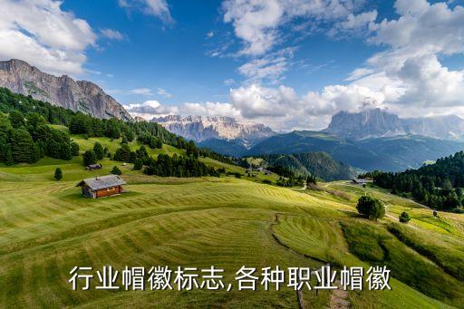 职业行业帽徽标志,各种职业帽徽