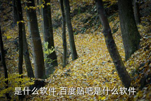 贴吧是什么软件,百度贴吧是什么软件