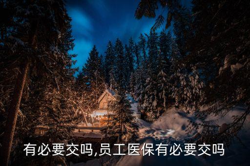 医保有必要交吗,员工医保有必要交吗