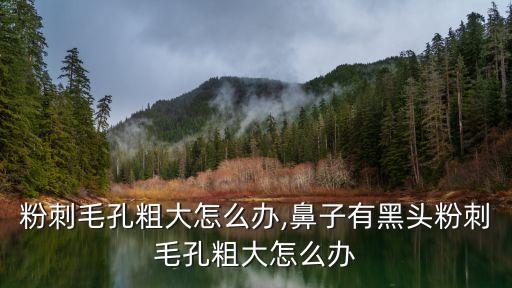 黑头粉刺毛孔粗大怎么办,鼻子有黑头粉刺毛孔粗大怎么办