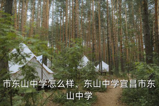 宜昌市东山中学怎么样、东山中学宜昌市东山中学