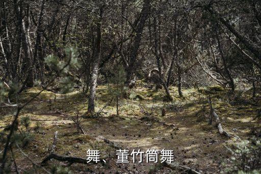 舞、董竹筒舞