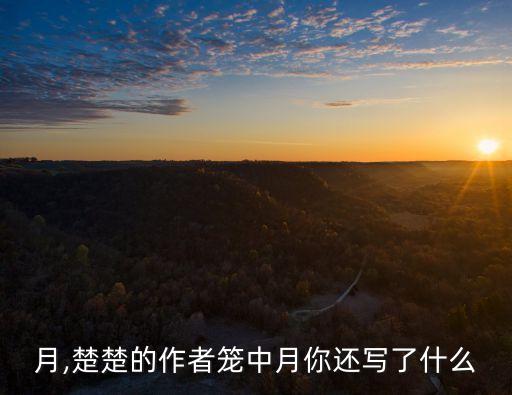 月,楚楚的作者笼中月你还写了什么