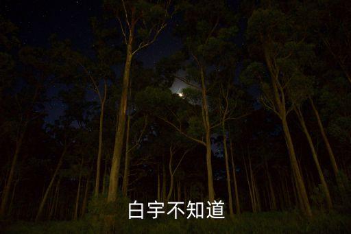 白宇不知道