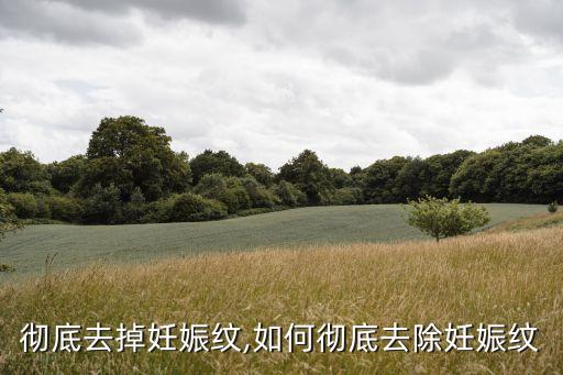 彻底去掉妊娠纹,如何彻底去除妊娠纹