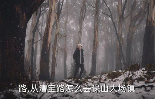 路,从漕宝路怎么去保山大场镇