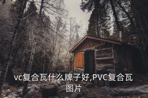 apvc复合瓦什么牌子好,PVC复合瓦图片