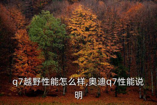 q7越野性能怎么样,奥迪q7性能说明