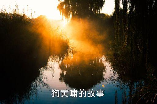 流浪狗黄啸的故事