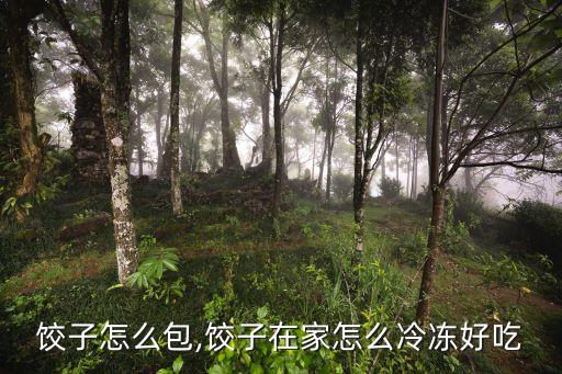 饺子怎么包,饺子在家怎么冷冻好吃