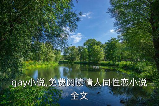 男男gay小说,免费阅读情人同性恋小说全文