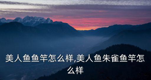美人鱼鱼竿怎么样,美人鱼朱雀鱼竿怎么样