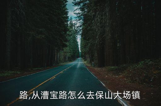 路,从漕宝路怎么去保山大场镇