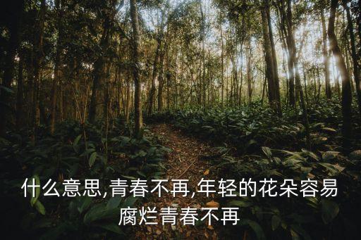 什么意思,青春不再,年轻的花朵容易腐烂青春不再