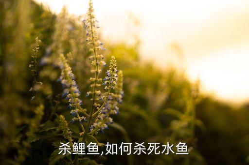 怎么杀鲤鱼,如何杀死水鱼