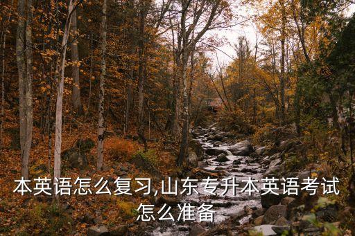专升本英语怎么复习,山东专升本英语考试怎么准备?