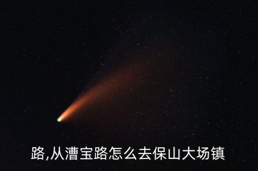 路,从漕宝路怎么去保山大场镇