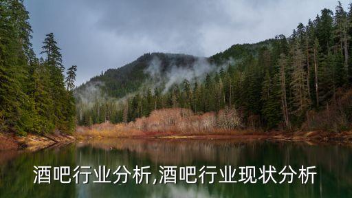 酒吧行业分析,酒吧行业现状分析