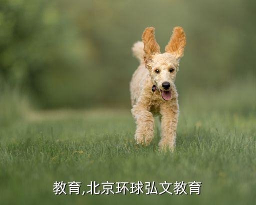 教育,北京环球弘文教育