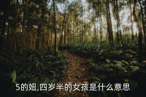 4块5的妞,四岁半的女孩是什么意思?