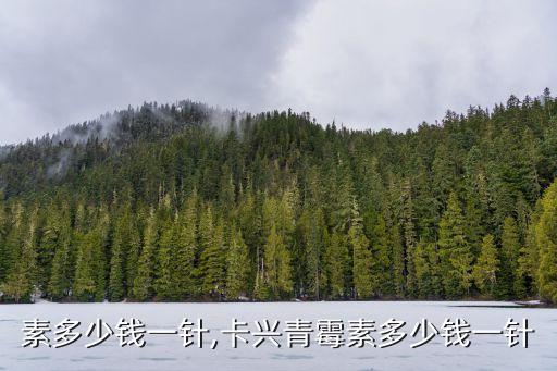 素多少钱一针,卡兴青霉素多少钱一针