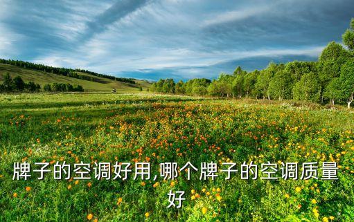 那个牌子的空调好用,哪个牌子的空调质量好?