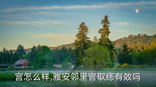 宫怎么样,雅安邻里宫取痣有效吗
