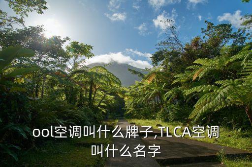 ool空调叫什么牌子,TLCA空调叫什么名字