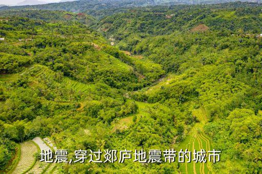 地震,穿过郯庐地震带的城市
