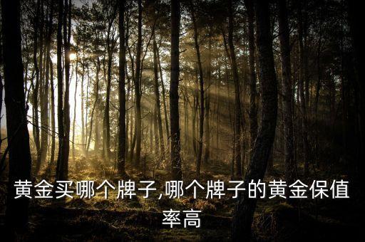 黄金买哪个牌子,哪个牌子的黄金保值率高
