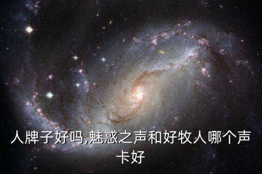 人牌子好吗,魅惑之声和好牧人哪个声卡好
