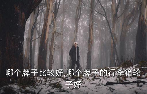 哪个牌子比较好,哪个牌子的行李箱轮子好