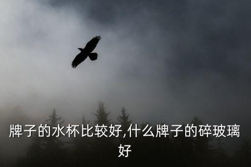 什么牌子的水杯比较好,什么牌子的碎玻璃好?