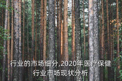 行业的市场细分,2020年医疗保健行业市场现状分析