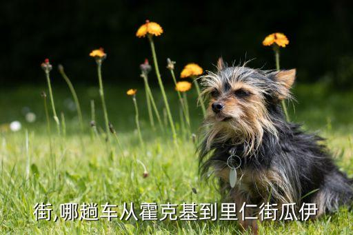 街,哪趟车从霍克基到里仁街瓜伊