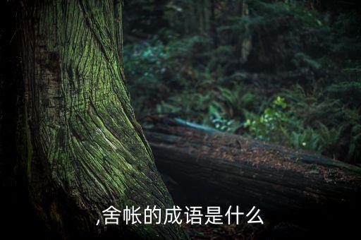 帐棚,舍帐的成语是什么?