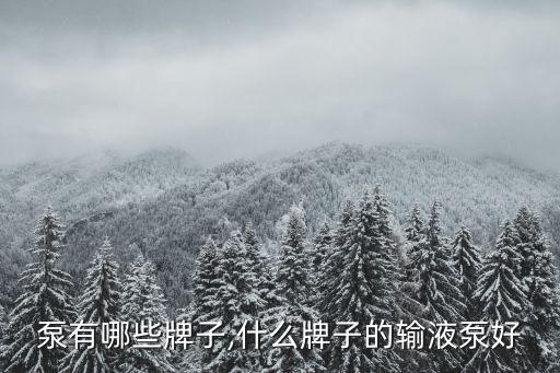 泵有哪些牌子,什么牌子的输液泵好