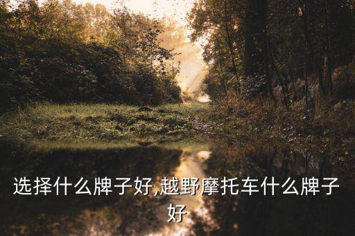 摩旅选择什么牌子好,越野摩托车什么牌子好?