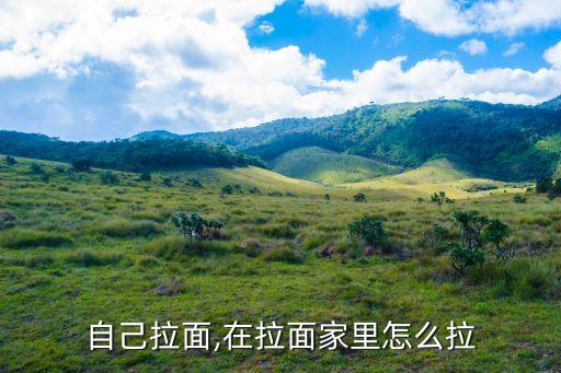 自己拉面,在拉面家里怎么拉