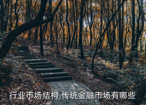 行业市场结构,传统金融市场有哪些