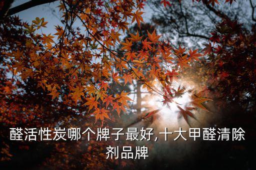 醛活性炭哪个牌子最好,十大甲醛清除剂品牌