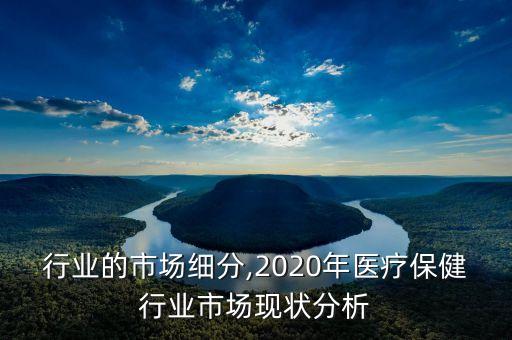 行业的市场细分,2020年医疗保健行业市场现状分析