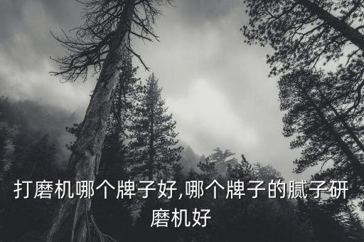 打磨机哪个牌子好,哪个牌子的腻子研磨机好