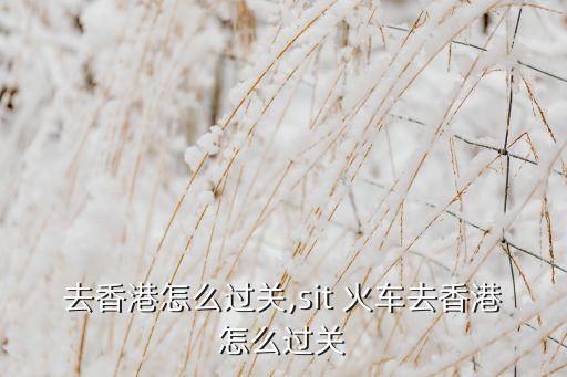 火车去香港怎么过关,sit 火车去香港怎么过关