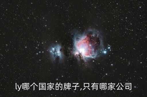 only哪个国家的牌子,只有哪家公司?